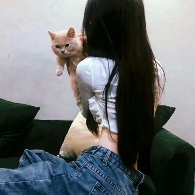 诡书